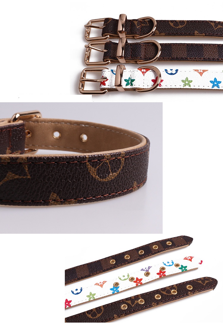 with Bell Dog Tag Classic Design Adjustable Leather Pet Collar and Leash Small Medium Dogs, Lightweight for Daily Use B311