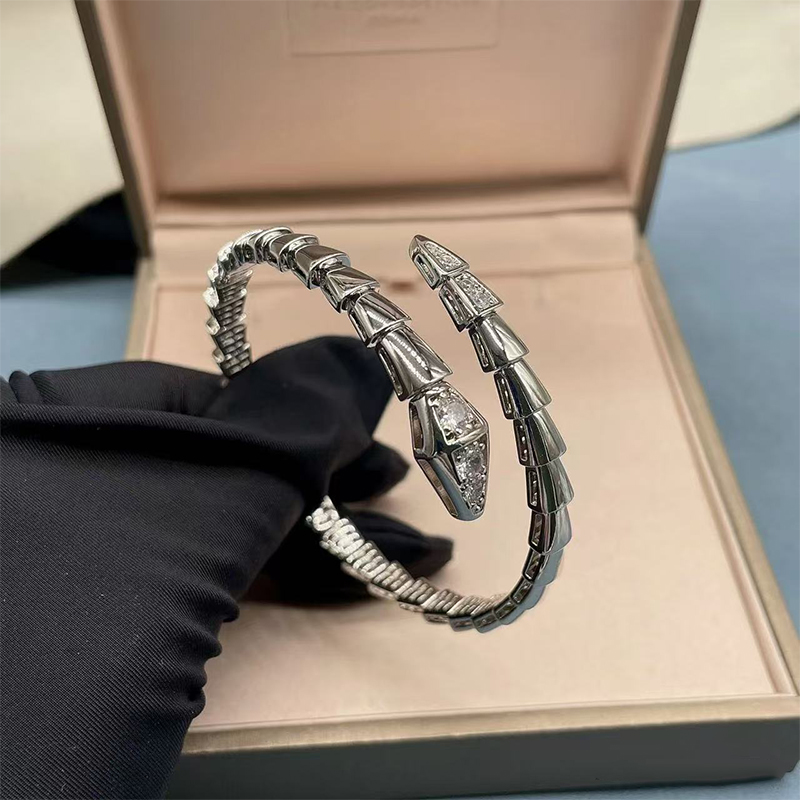 Womens Bracelet Jewelry Designer Bangle Luxury Gold Silver Brand Bracelet Women Mens Serpentine Letter Snake Diamond Elegant Bracelet Accessories Unisex With Box