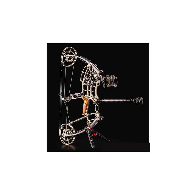 Compound Dual Purpose Archery Shooting Steel Balls High Accuracy Bow Outdoor Legal Sporting Goods New quantity