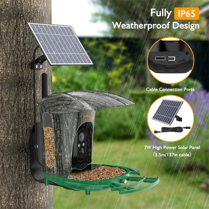 Smart bird feed camera with 64G card 1080P highdefinition AI recognition of species hummingbird house 7W solar panel 250320