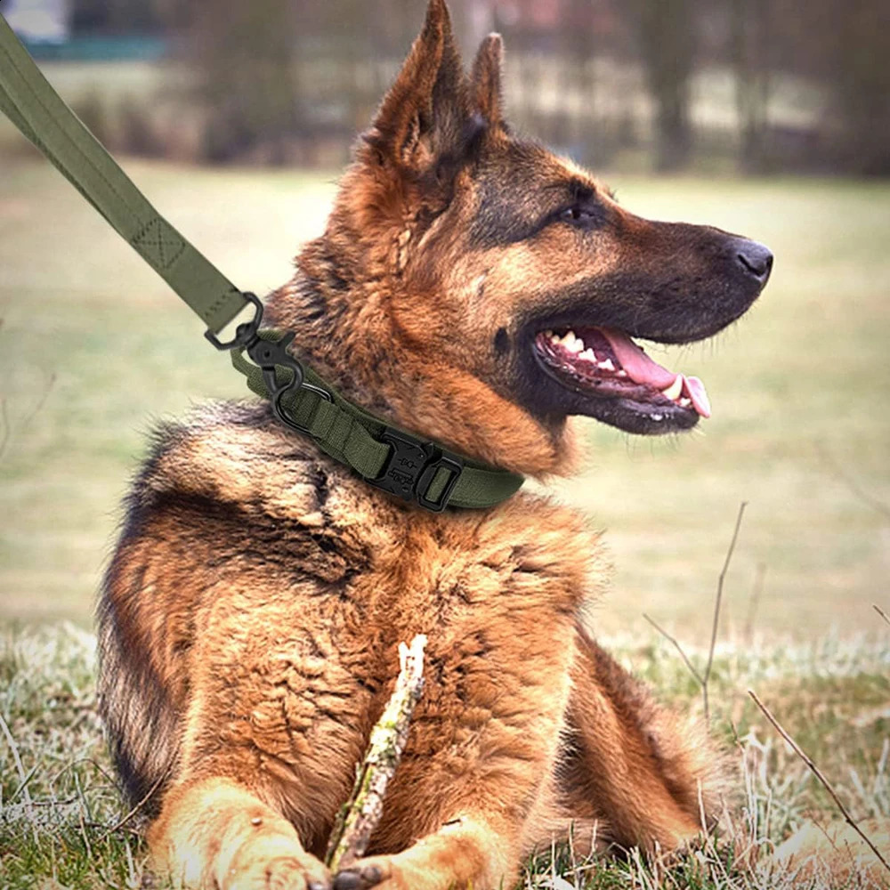 Dog Collar Durable Tactical Leash Set Adjustable Pet Collar Leash Medium Large Dog German Shepherd Training Accessories 250320
