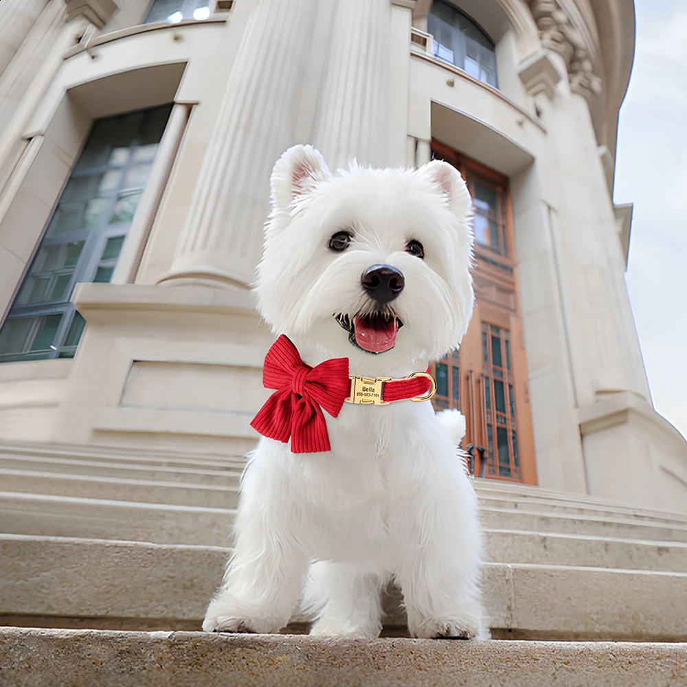 Personalized Dog Collar Big Bowtie Pet Dog ID Collars Free Engraving Cute Bowknot For Small Medium Dogs Cats Pet Accessories 250320