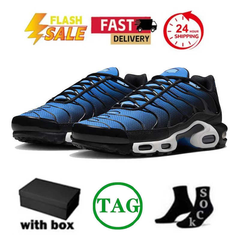 Hiking Footwear Tn Plus Running Shoes Toggle Utility 25th Anniversary Triple White Black Grey REFLECTIVE Fire Ice Stone Onyx Men Women Trainers Sports