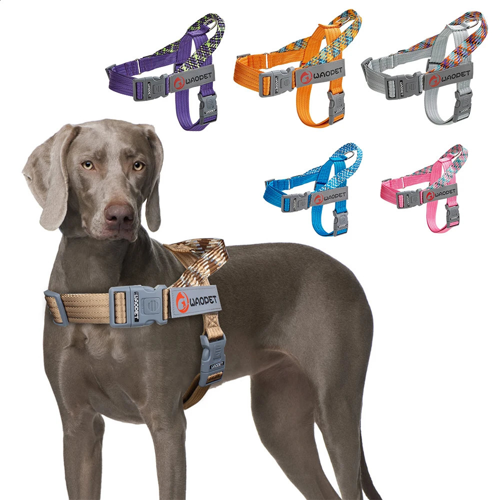 Pet Fashion Dog Harnesses For Medium And Large Walking Dogs Portable n Safety Chest Harness Colorful Collar Accessories 250320