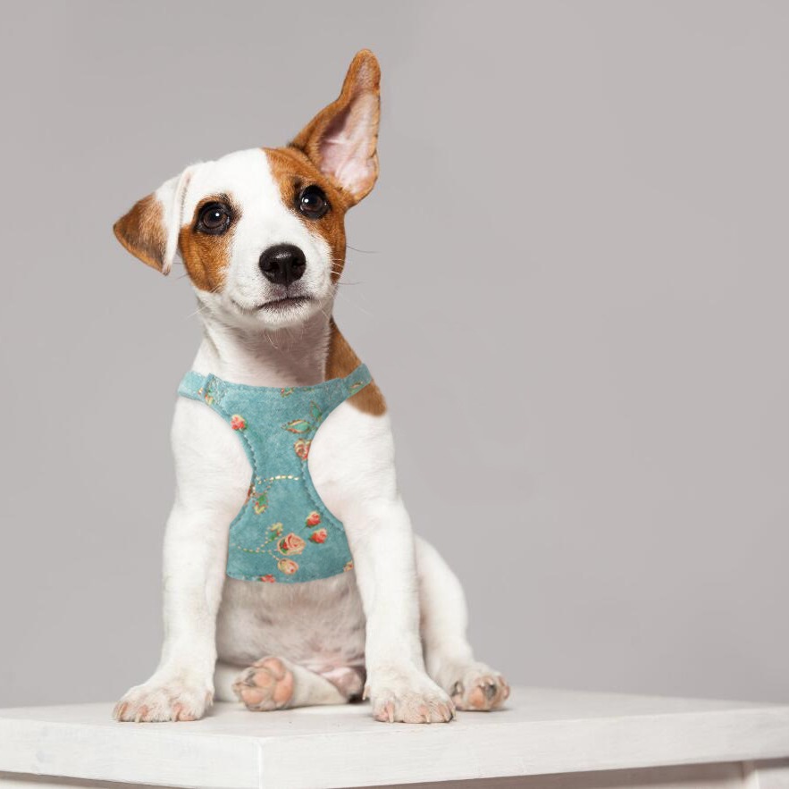 Puppy No Pull Small Dog Harness with Multifunction Dog Leash, Hot Stamping Printed Suede Material Dog Harness Lightweight Soft Adjustable No Choke Pet