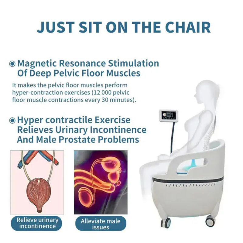 Ems Pelvic Floor Chair Therapy Ems Private Urinary Incontinence Seat Chair Pelvic Muscle Stimulator Pelvic Chair Postpartum Repair Vaginal Tightening 