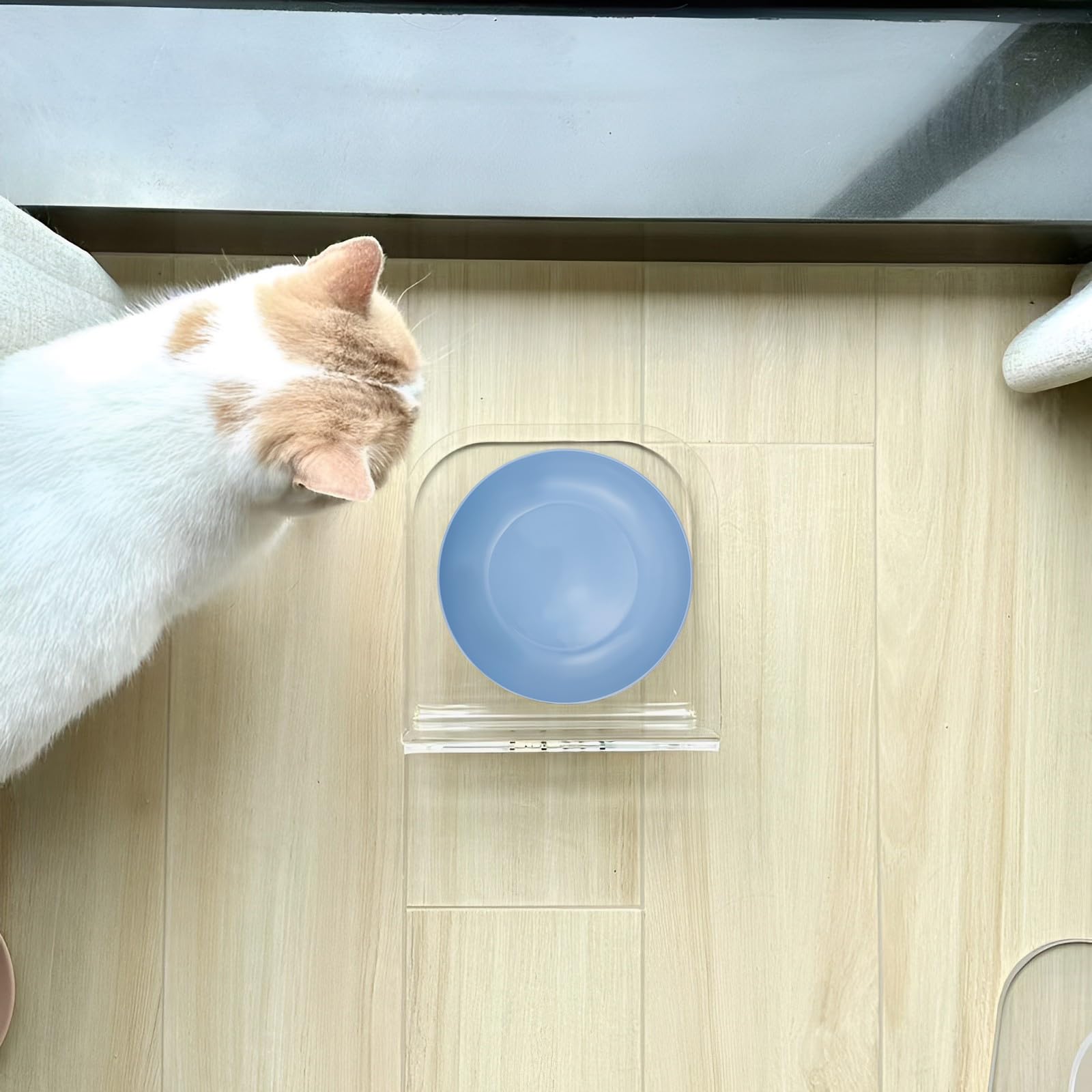 Wide Straw Circular Pet Dish for Easy Sipping Ideal for Small Breeds and Low Legged Cats