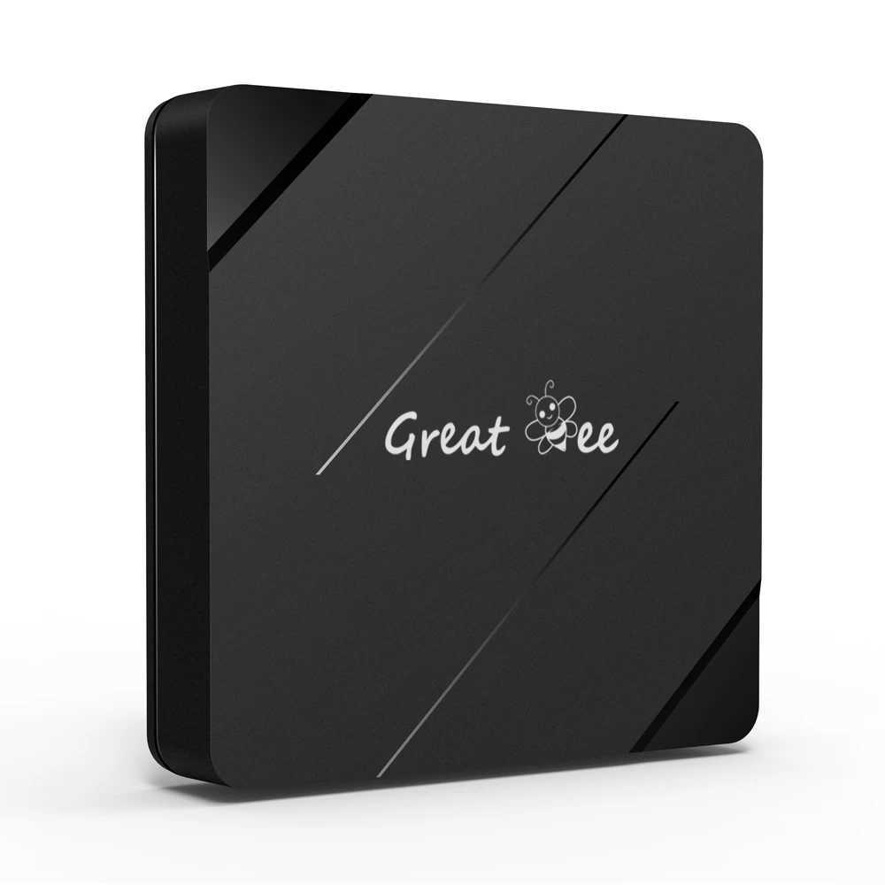 Big Bee New Arab TV Box Big Bee 2GB+16GB 2.4G and 5.0G Dual Wi Fi Arab 4K Media Player Smart Set Top Box X250325