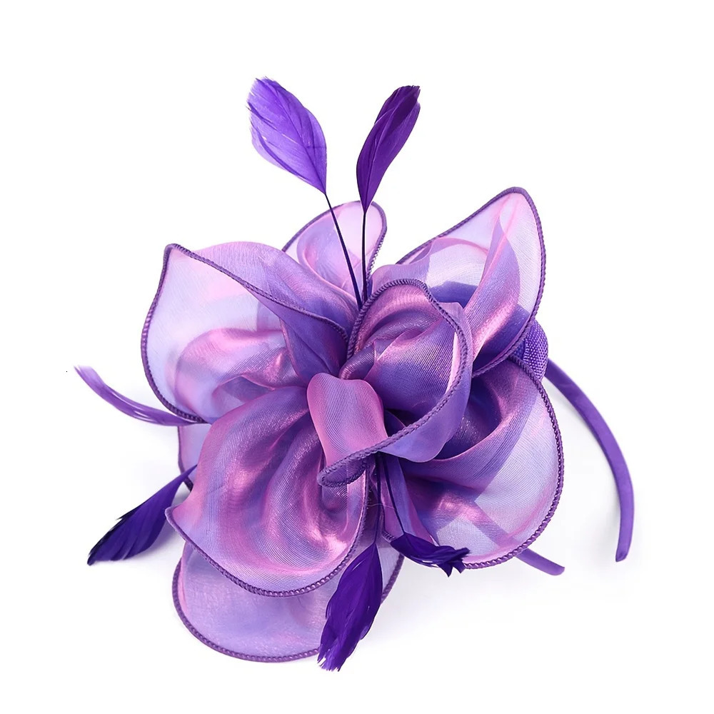 Female Charm Hat Tea Party Headband Kentucki Derby Headband Feather Mesh Headband Cocktail Hair Clip 250322