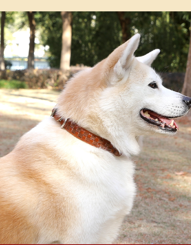 New customized fashion dog collar pet dog head layer cowhide sturdy and durable soft does not hurt the hair