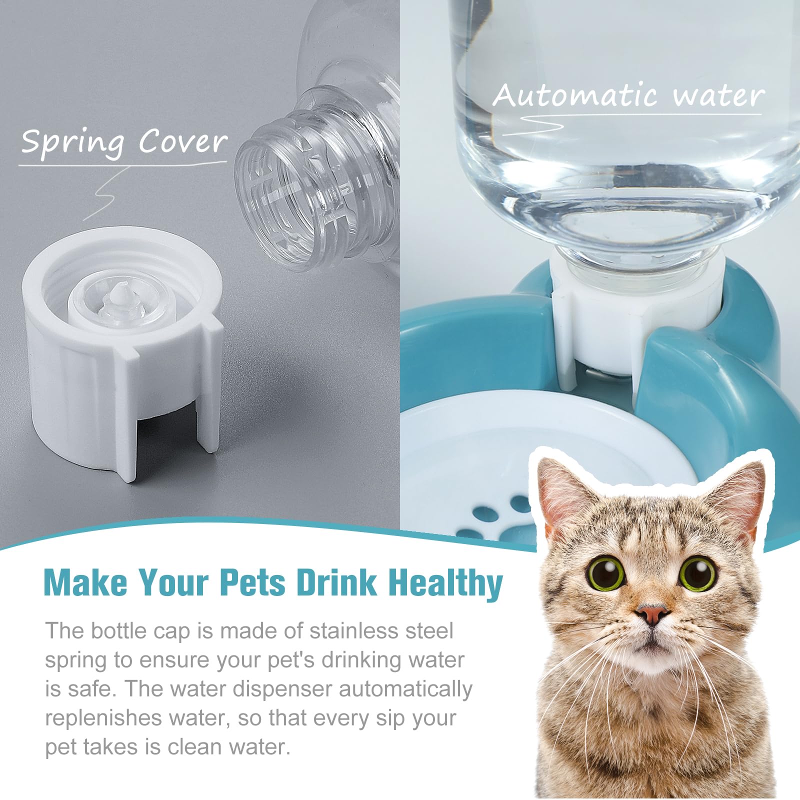 Cat Food and Dog Bowl Combo Durable Stainless Steel Design with Built-in Water Fountain