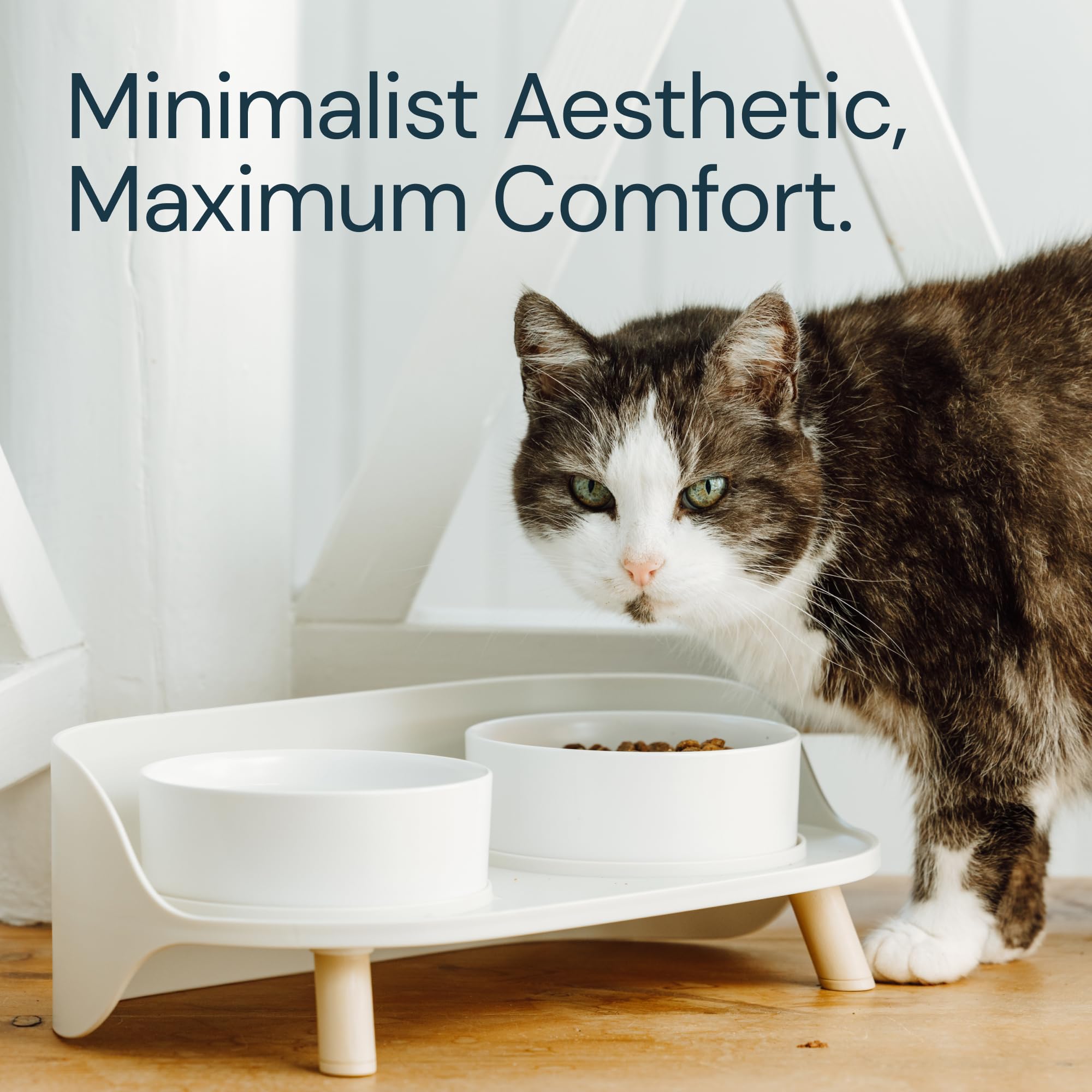 Raised Ceramic Dog Bowl Set with Splash Guard Ribbon Ideal for Small Dogs & Cats