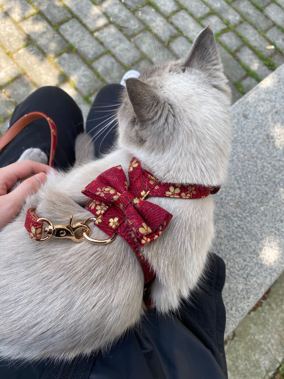 New K-shaped Bowknot Dog Harness Leash Set for Small Medium Dogs Puppy and Cats Walking No Pull Adjustable PU Leather Flower Print Harnesses Pet Acces