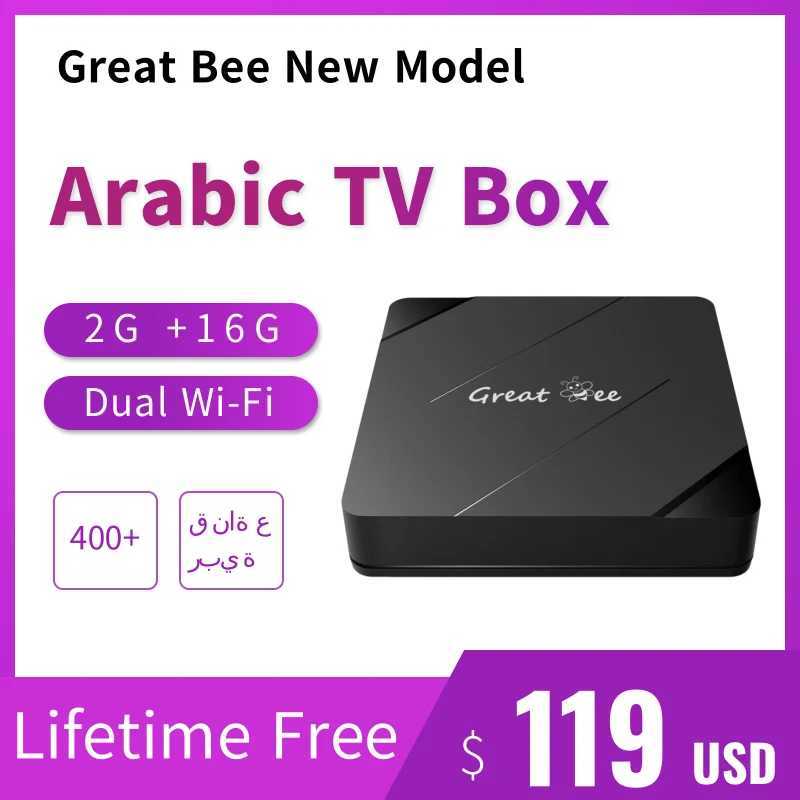 Big Bee New Arab TV Box Big Bee 2GB+16GB 2.4G and 5.0G Dual Wi Fi Arab 4K Media Player Smart Set Top Box X250325