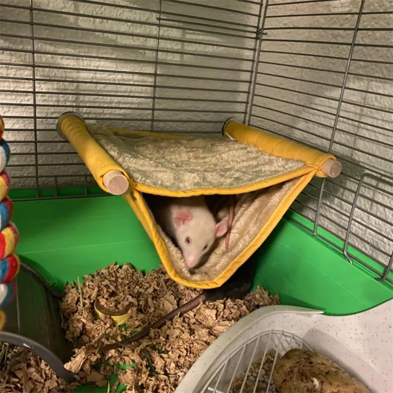 Parrot Pet Hamster Nest Warm Hammock Removable Hammock Windowsill Multi-color Hanging Cat Cradle