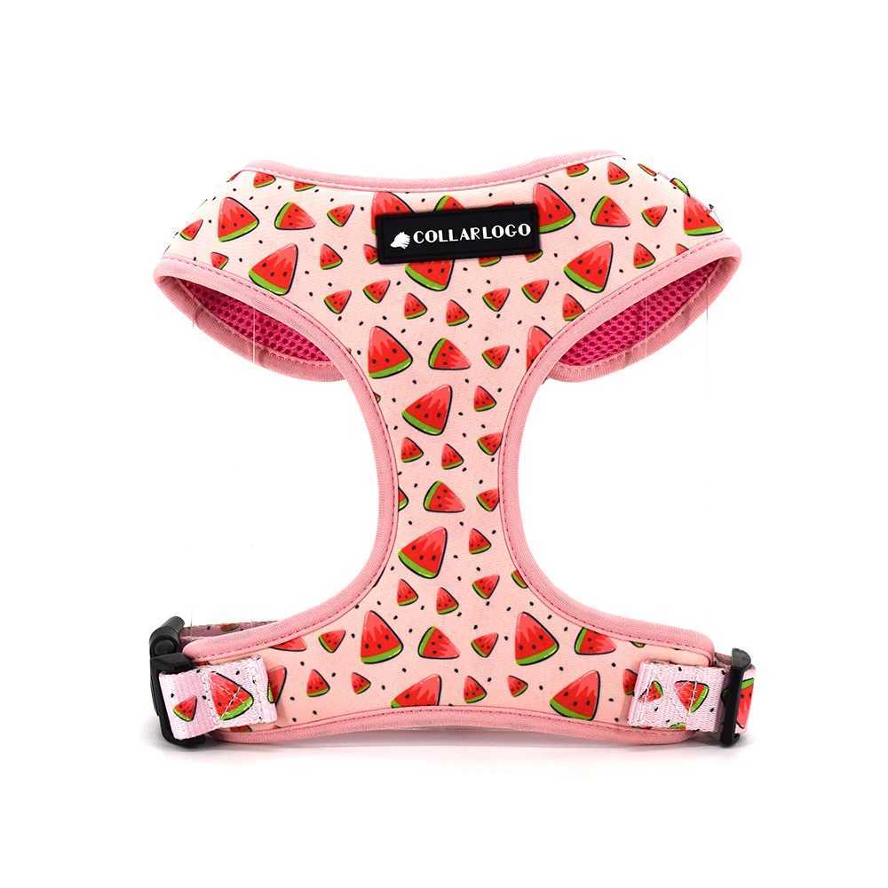 Adjustable pet dog collar durable soft and cute creative watermelon design belt chloroprene rubber safety pool bag dispenser X250326