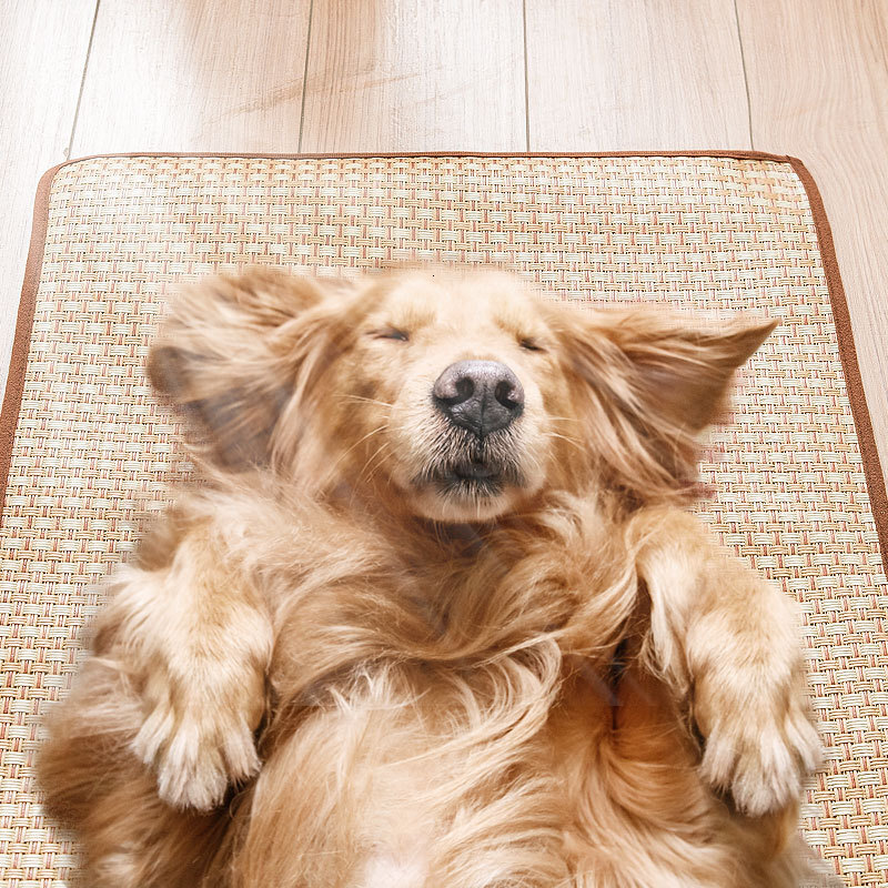 pet coolpad dog ice mat cats summer mat dog nest summer dog cage mattress coolpad bite resistant cooling
