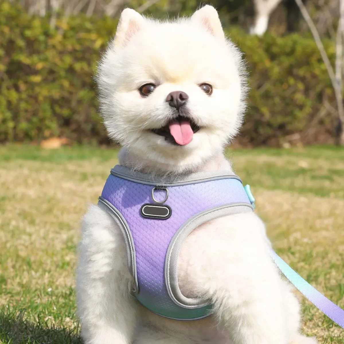 1 pet walking style dog harness adjustable reflective soft dog harness breathable dog vest X250326