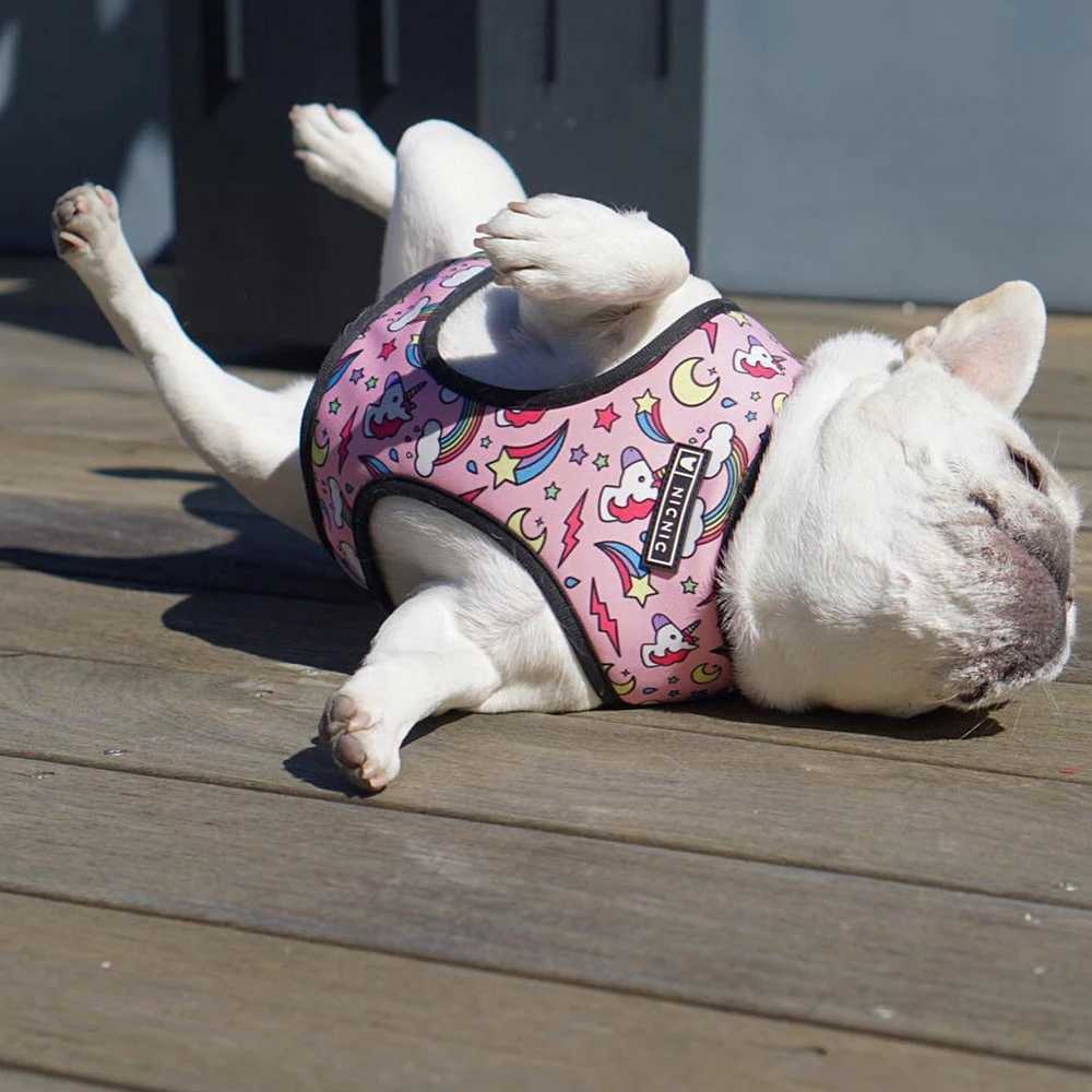 Mini dog harness no pull dog vest suitable for small and medium-sized dogs breathable pets French bulldogs dog harness set X250326
