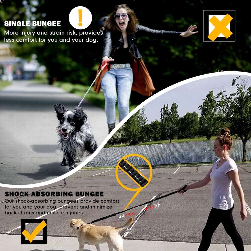 Reflective Dog Leash with 2 Padded Handle Dog Walking Training Shock Absorbing Bungee Leash With Car Seat Belt Buckle for Small Medium Large