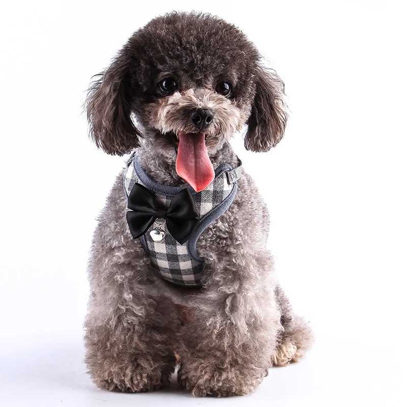 Plain weave dog harness and belt set pet cat vest harness with bow net pad suitable for small puppies Chihuahua dogs York dogs 10A X250326