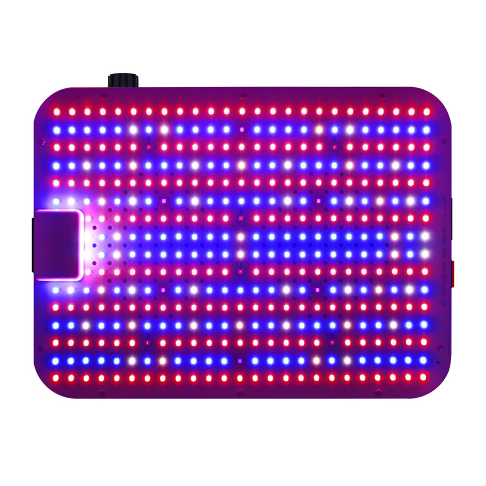 200W Durable Energy Saving Full Spectrum LED Grow Lamp for Houseplants Edition D