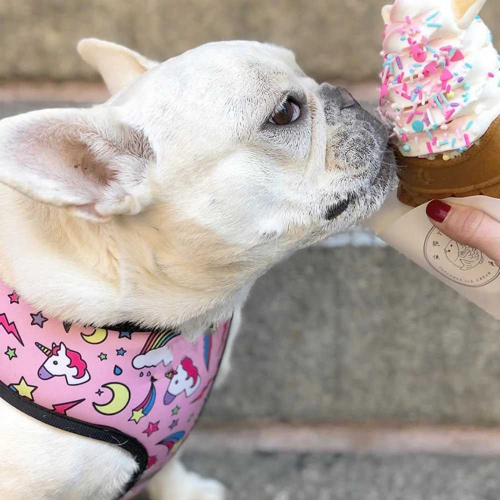 Mini dog harness no pull dog vest suitable for small and medium-sized dogs breathable pets French bulldogs dog harness set X250326