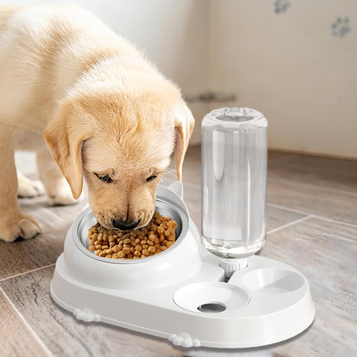 Anti Spill Cat Elevated 16 Degree Tilted Pet Food Bowl Set - Automatic Water Dispenser for Cats and Small Dogs Free shipping