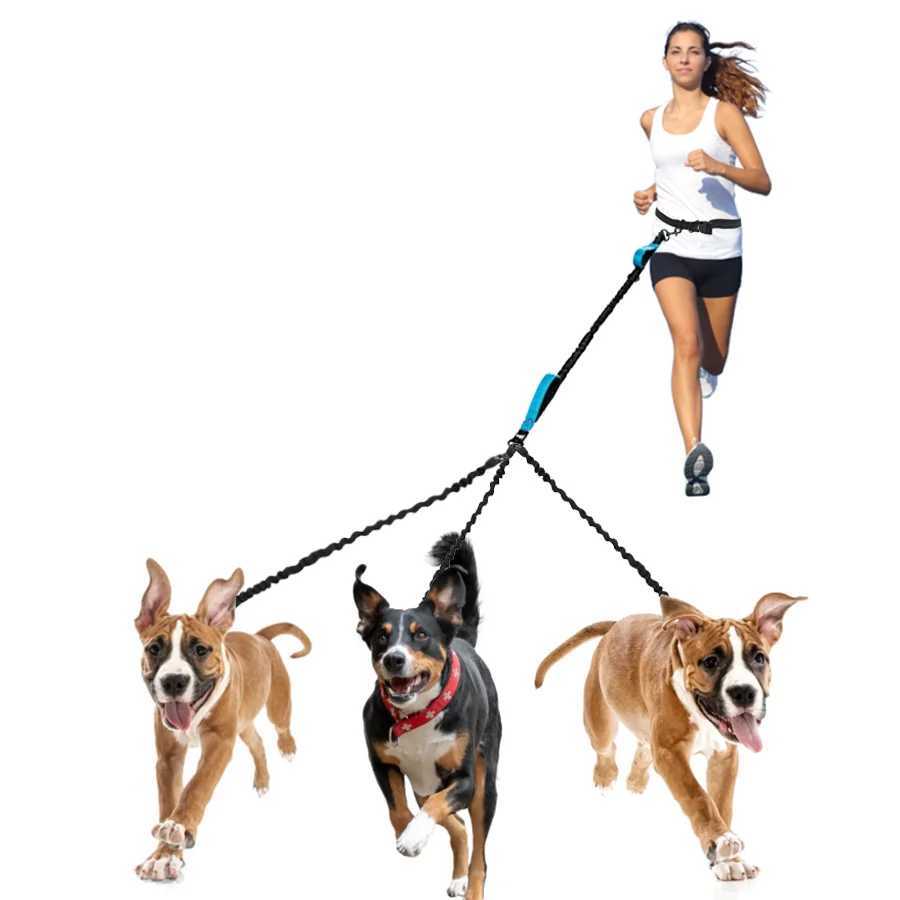 2/3+dog leash dog accessories waist elastic pet leash large dog color reflective dog leash X250326