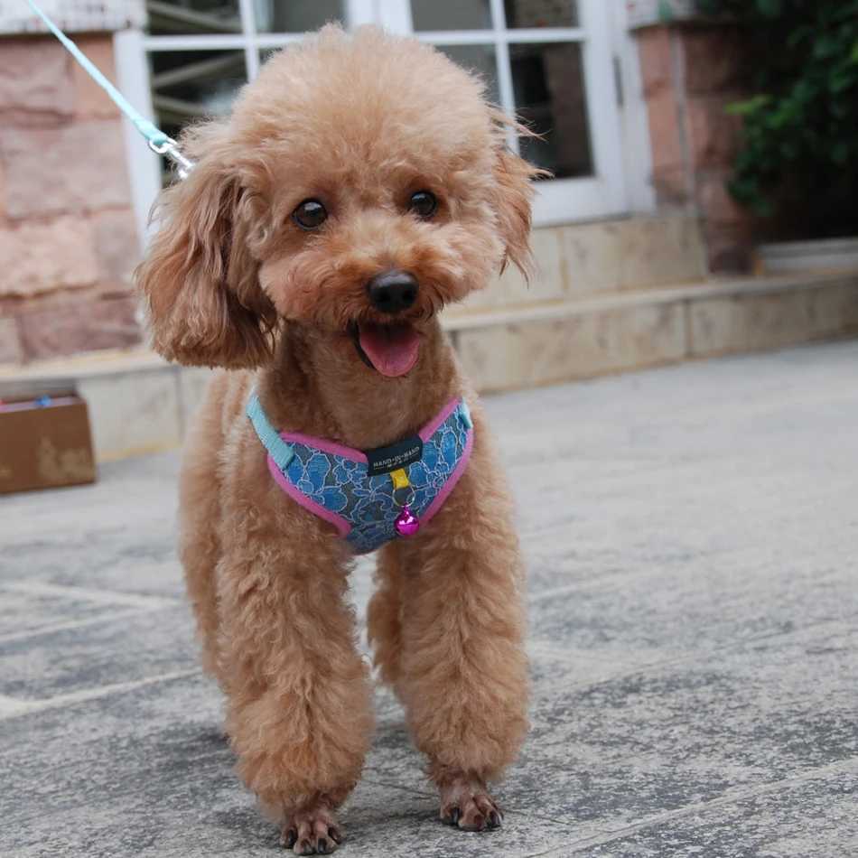 Dog and cat lace shoulder strap vest pet product adjustable with bell running dog strap small dog polyester mesh strap suitable for small and medium-s