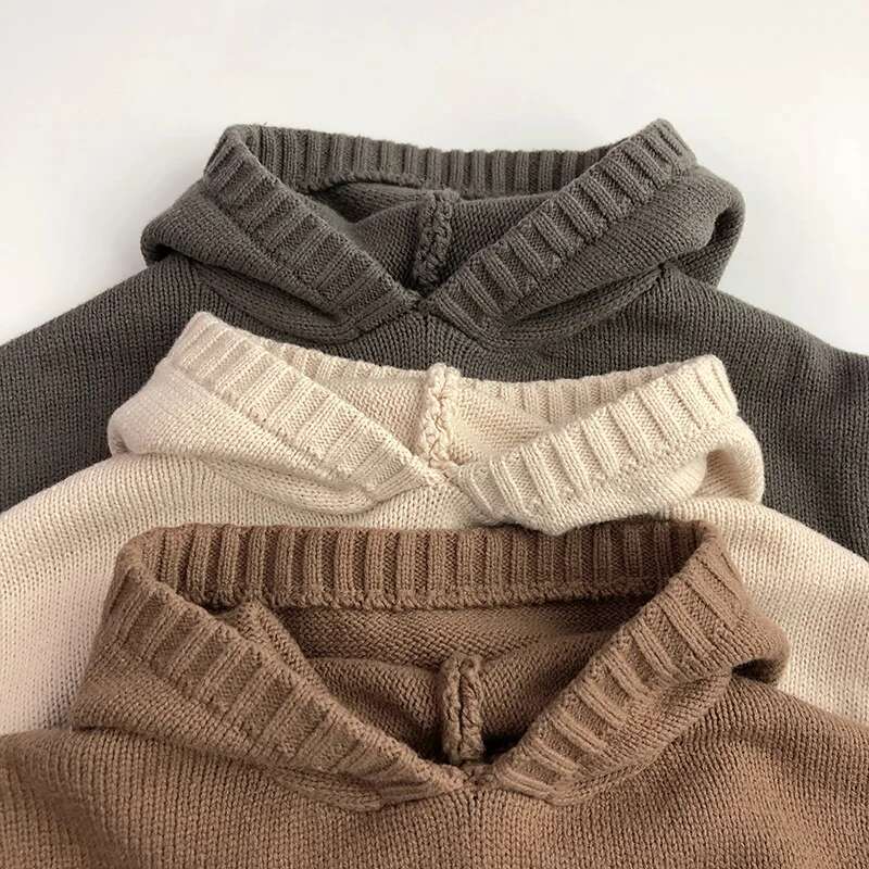Ddmyshoesvip Autumn New Children Long Sleeve Knit Hoodie Baby Boys Casual Sweatshirt Kids Girls Vintage Knitted Hooded Sweater Clothes