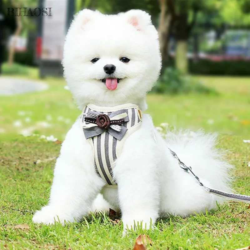 Adjustable vest belt adjustable mesh vest dog harness dog harness chest strap belt with drawstring X250326
