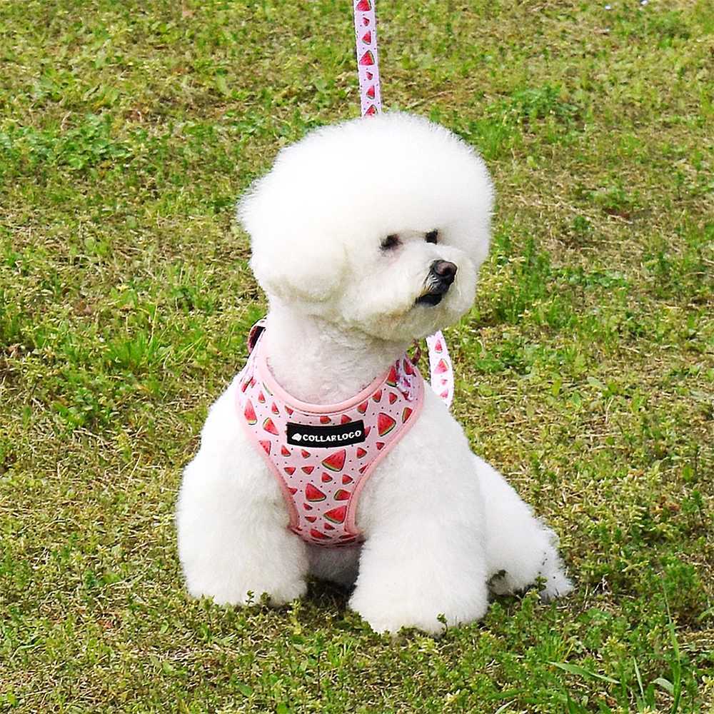 Adjustable pet dog collar durable soft and cute creative watermelon design belt chloroprene rubber safety pool bag dispenser X250326