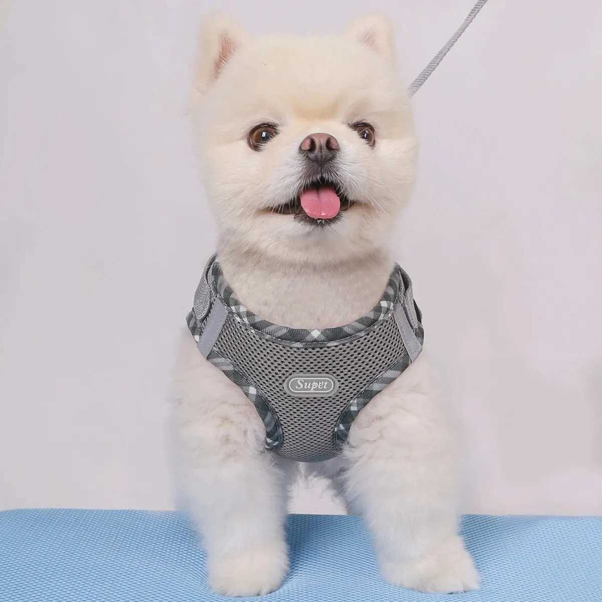 Supet 1 piece dog harness anti pull pet harness adjustable easy to control suitable for small and medium-sized dogs X250326
