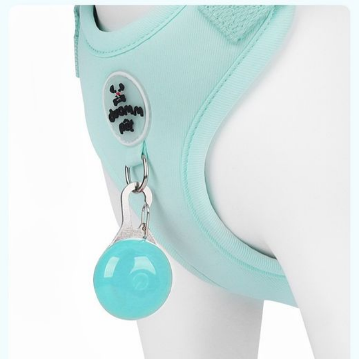 Comfortable Teddy Bear-Inspired Puppy Harness with Secure Clip for Walking