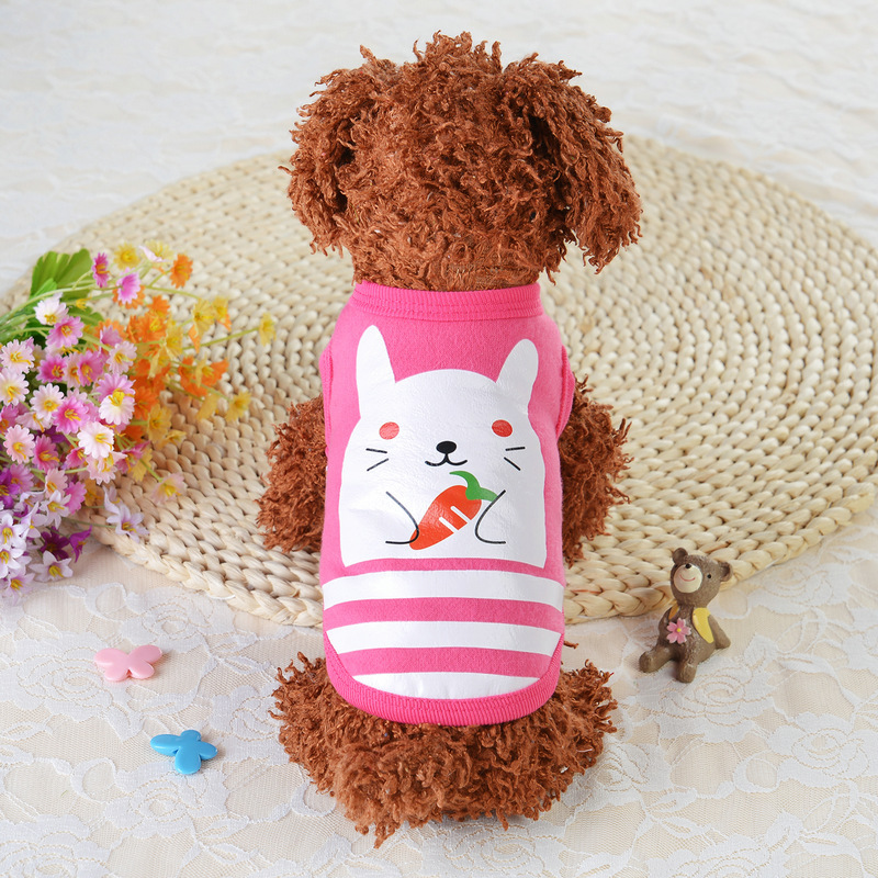 Cute Animal Print Dog Sweater Hoodies for Small Dogs Girl Boy, Ultra Soft Velvet Warm Puppy Clothes Dog Coat for Winter, Suitable for Growing Puppies 