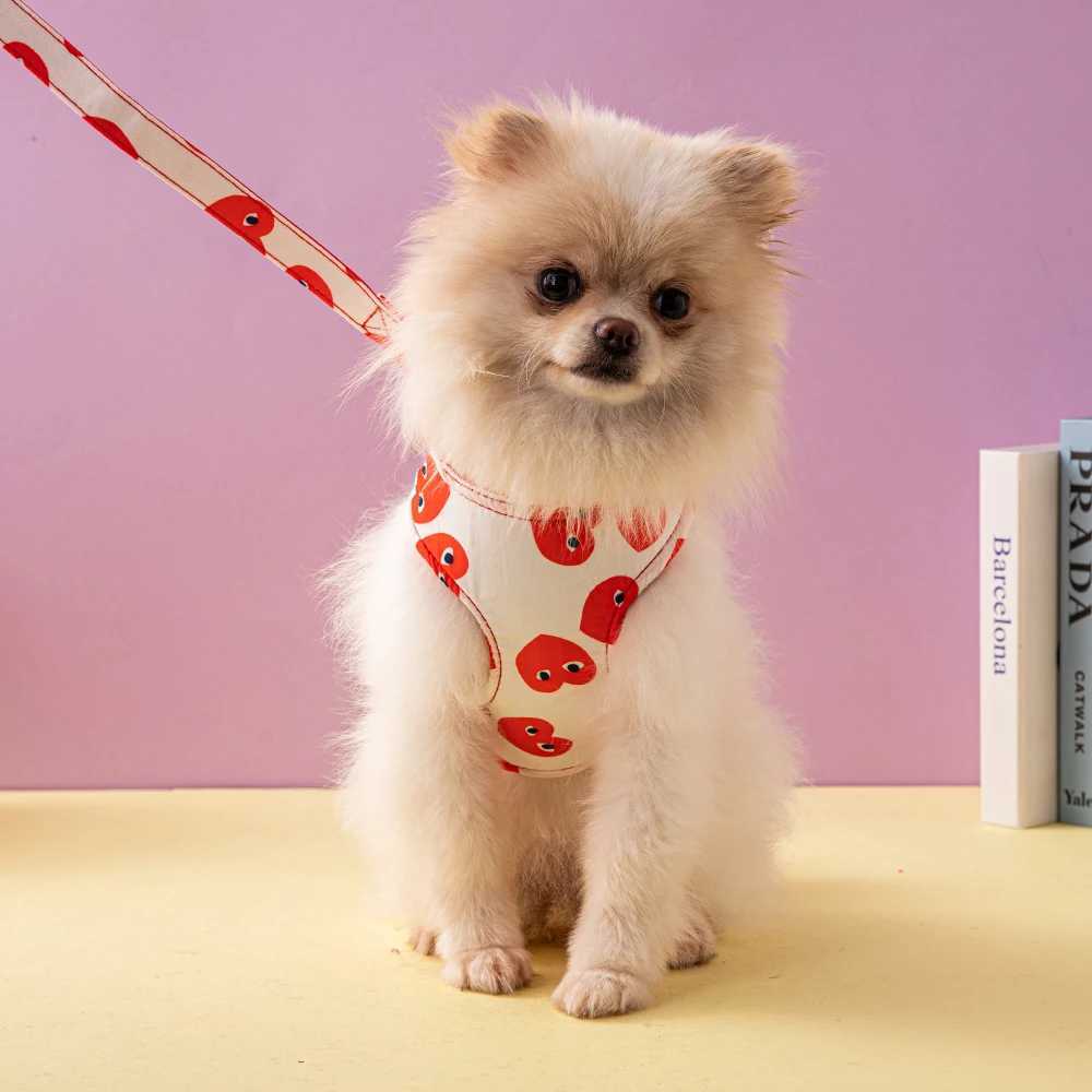 Dog Strap Fashion Dog Accessories Suitable for Small Dogs Adjustable Pet Straps Outdoor Dogs Walking Pet Supplies X250326