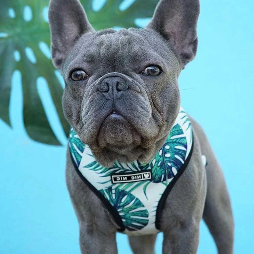 Mini dog harness no pull dog vest suitable for small and medium-sized dogs breathable pets French bulldogs dog harness set X250326