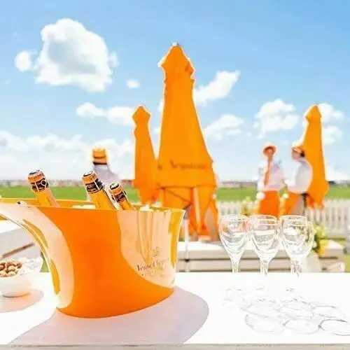 XL New Orange Acrylic Champagne Bucket Glass Acrylic Elegant Sake Glass X250326