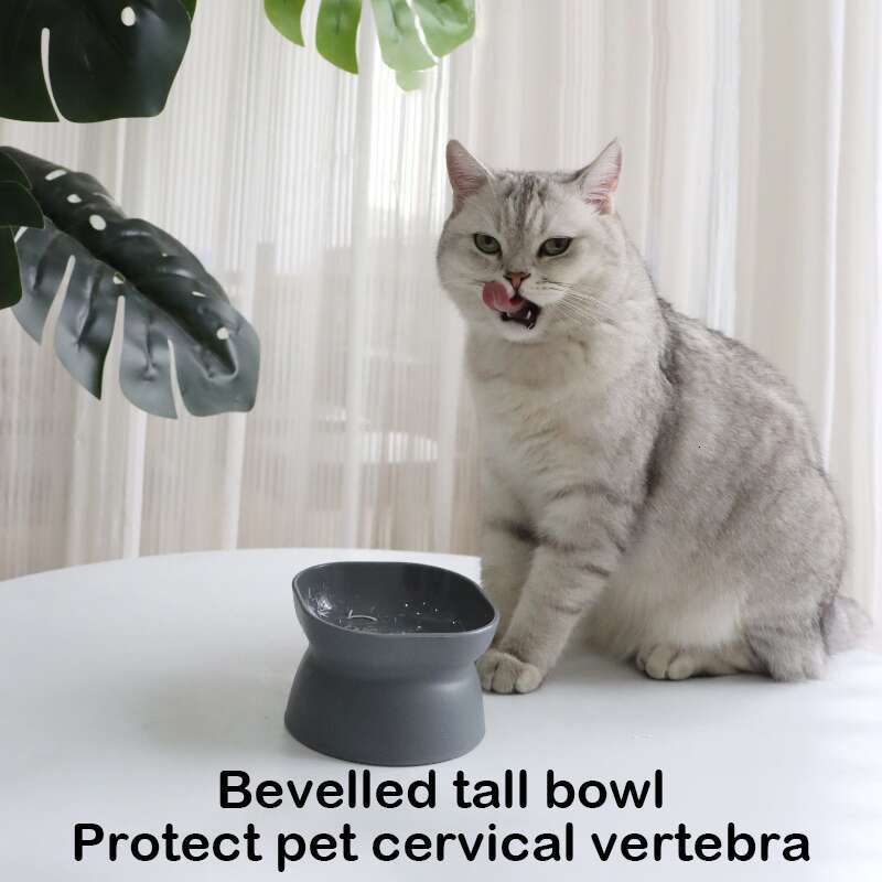 Large Opening Tall Plastic Cat Bowl Classic Neck Guard Against Spilling Cat And Dog Pet Food
