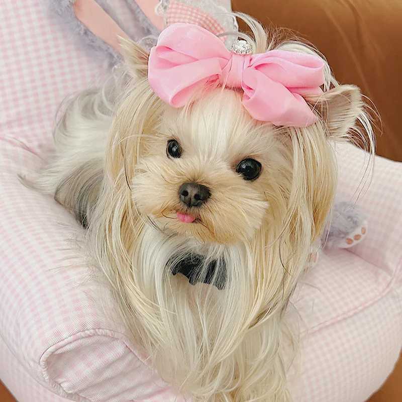 Dog and Cat Strap Set Adjustable Lace Bow Pet Strap Cute Puppy Princess Dress Walking Collar Chihuawak X250326