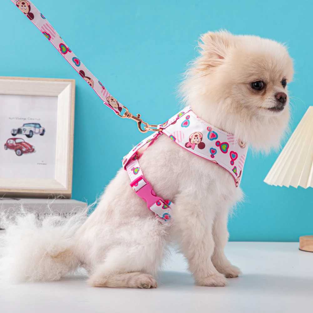 Dog harness and belt set Chihuahua Schnauri sausage adjustable vest pet harness pet accessories X250326