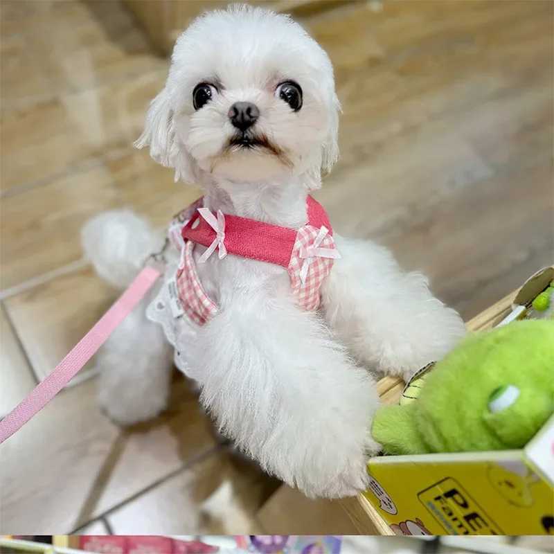 Pet collar dog strawberry lace harness belt set vest lace chest strap puppy walking lead rope X250326