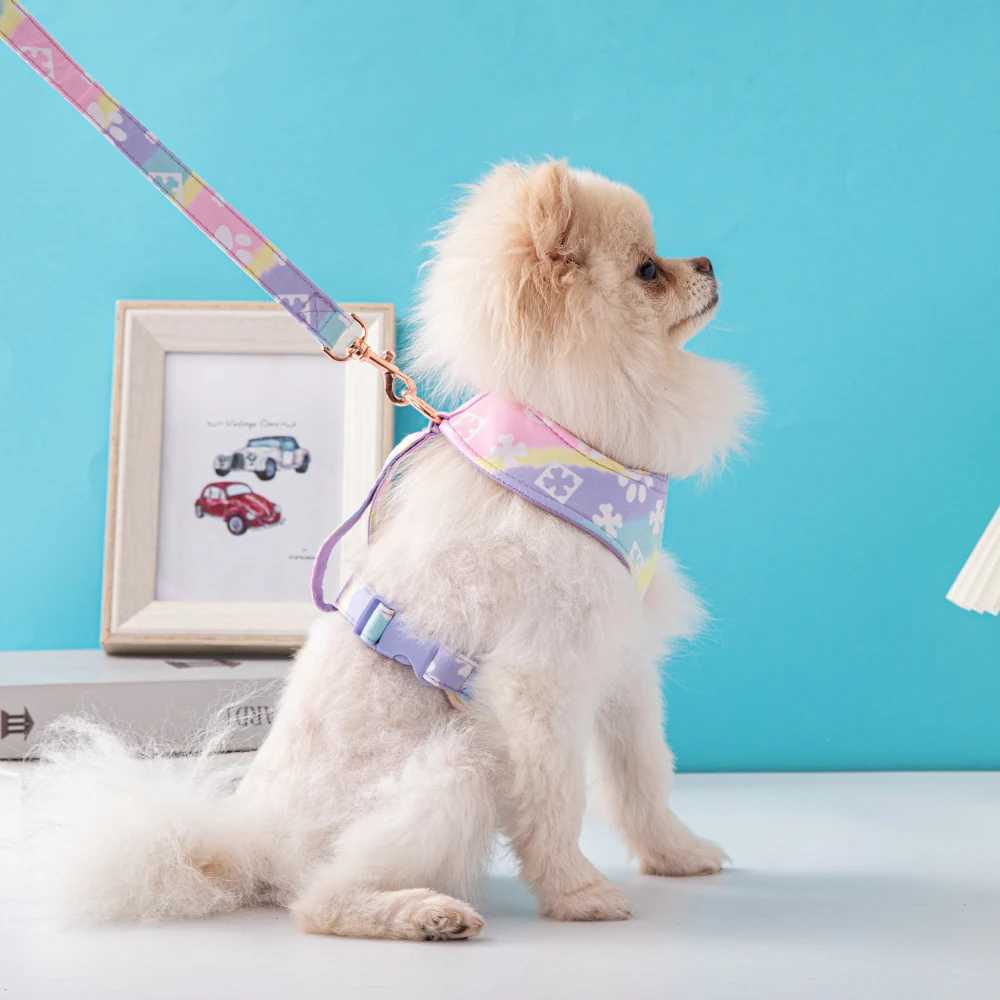 Dog harness and belt set Chihuahua dog harness vest pet harness not easy to break comfortable and breathable pet supplies X250326