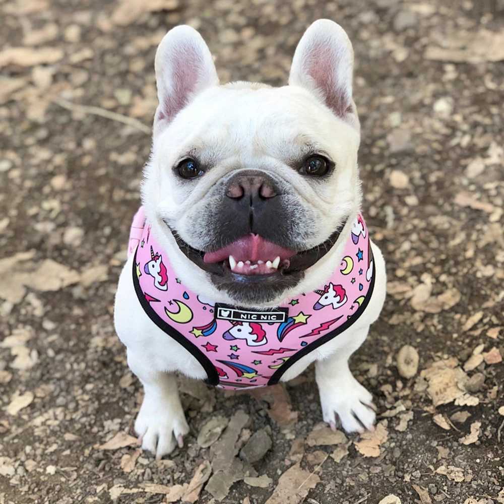 Mini dog harness no pull dog vest suitable for small and medium-sized dogs breathable pets French bulldogs dog harness set X250326