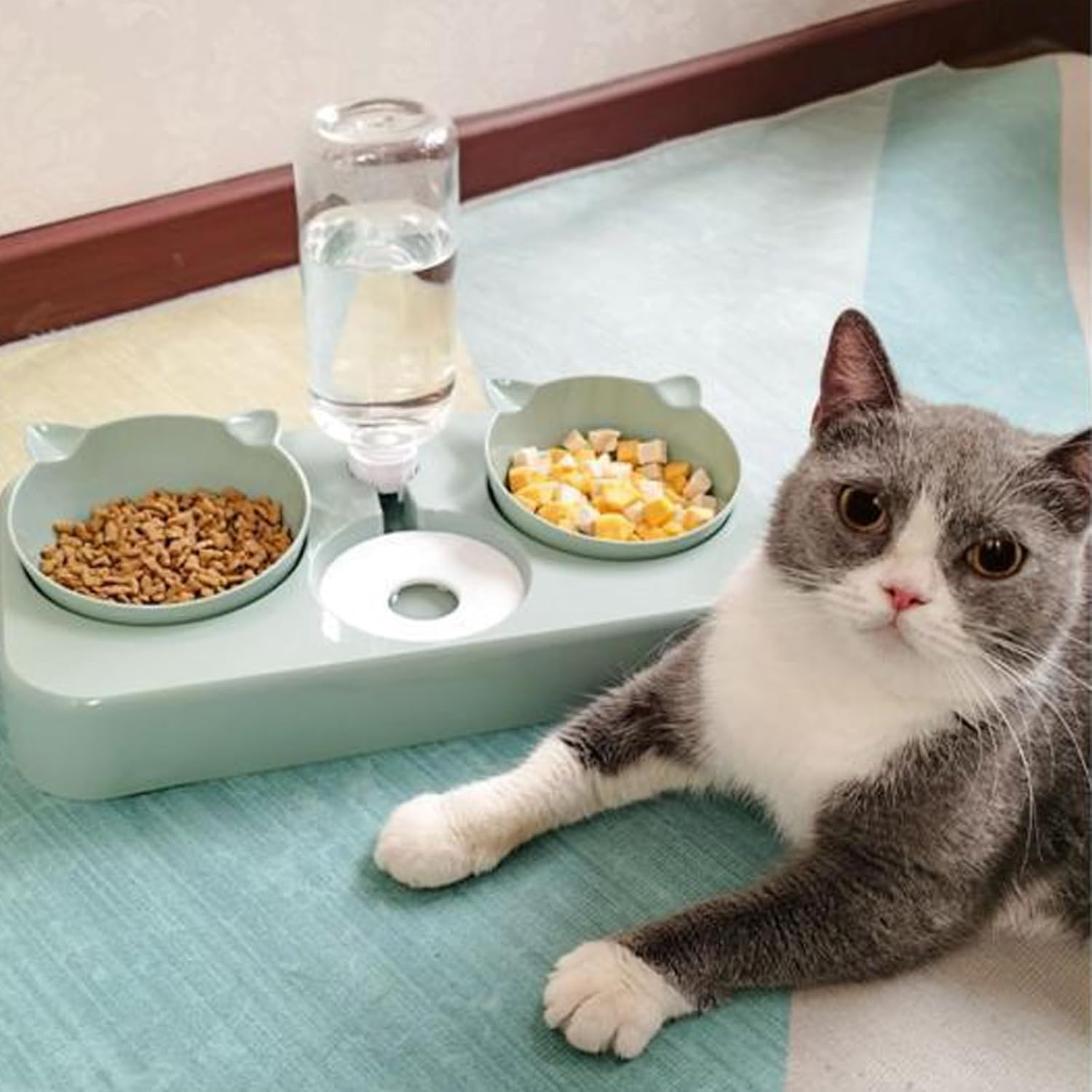 Cat 3 in 1 Automatic Cat Water Dispenser Cat Food Dispenser Pet bowl Set Water and food bowls set the perfect feeding bowl for cats and puppies