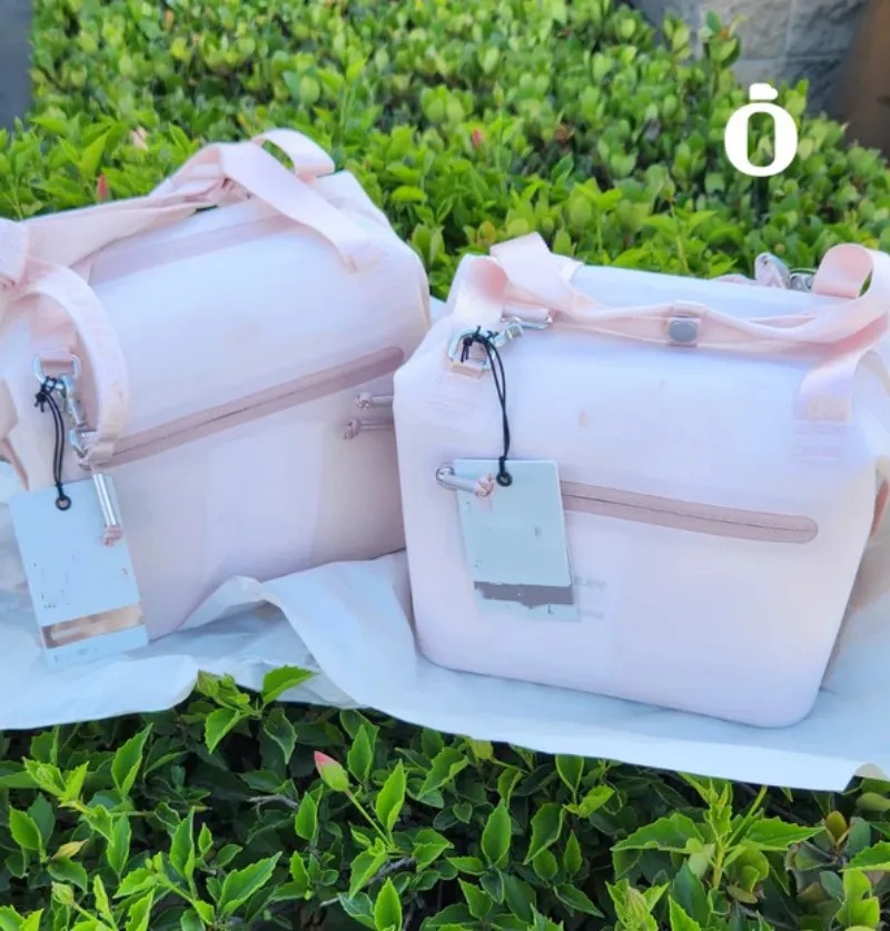 US Stock All Day Julienne Mini Soft Cooler Lunch Bag Box Recycled Polyester Cooler 12-Hour Cooling Travel Cooler Bags Black Cream In Hand Bags