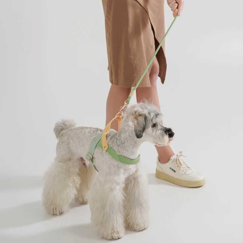 Dog walking simple style pet harness supplies fashionable black and white striped chest harness and belt set X250326