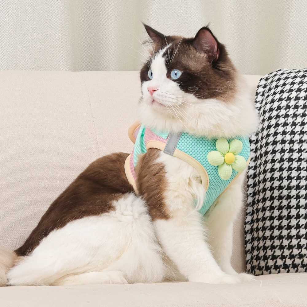 Two tone summer cat and dog harness set with reflective and breathable chest strap suitable for small dogs and cat pet accessories X250326