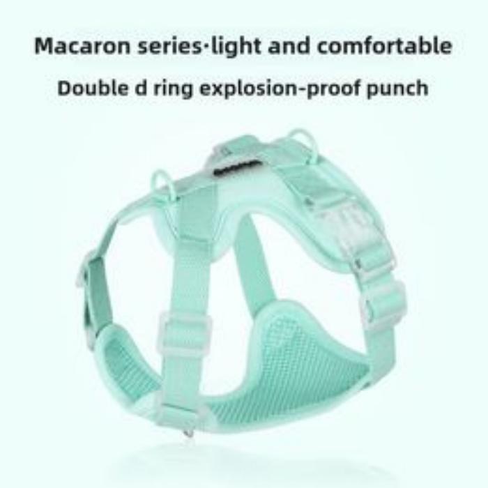 Comfortable Teddy Bear-Inspired Puppy Harness with Secure Clip for Walking